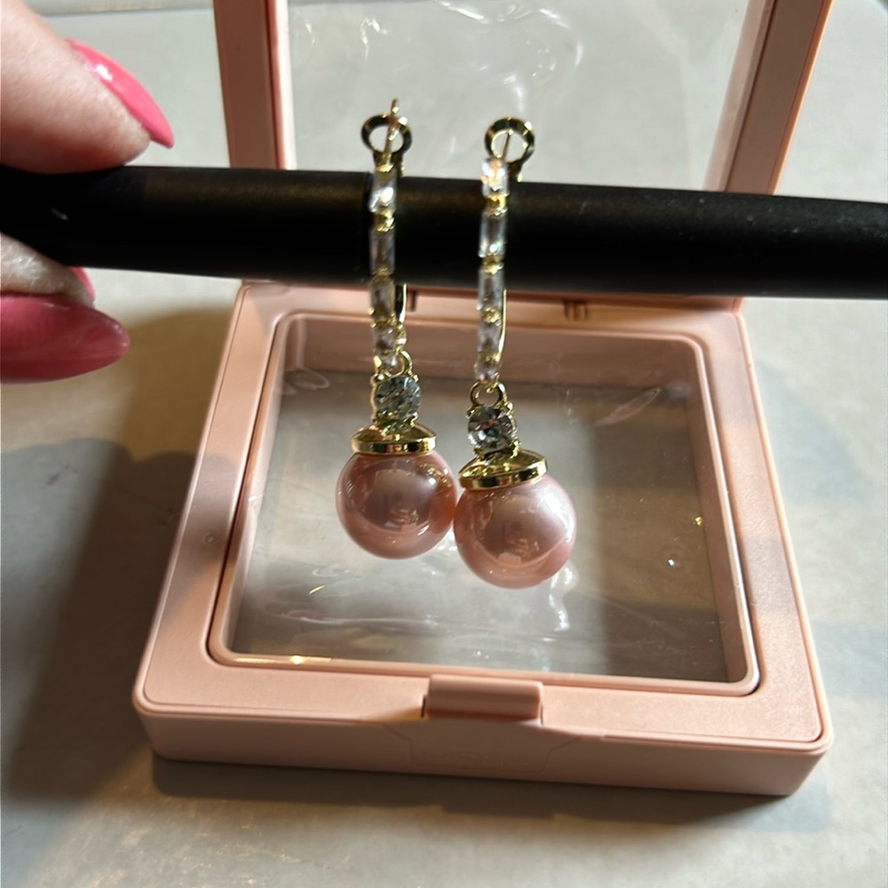 Earrings NWOT